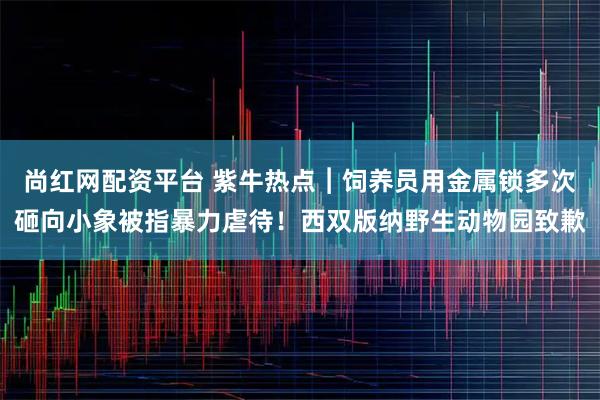 尚红网配资平台 紫牛热点︱饲养员用金属锁多次砸向小象被指暴力虐待！西双版纳野生动物园致歉