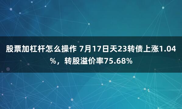 股票加杠杆怎么操作 7月17日天23转债上涨1.04%，转股溢价率75.68%